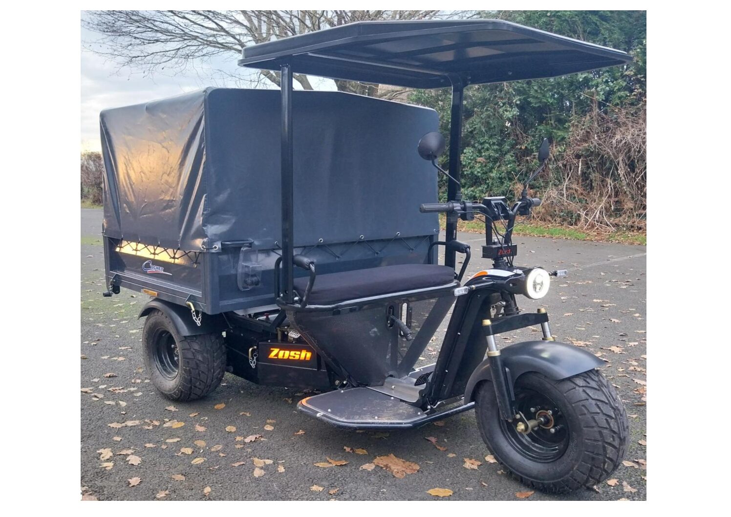 Elektrisch vervoer "Cochet" Rhino